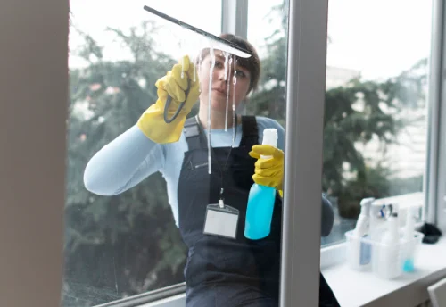 Nettoyage de vitres intérieures et extérieures à Avrieux